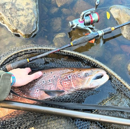 10 Easy Fishing Knots Every Angler Should Know RiggedAndReadyUSA 10 Easy Fishing Knots Every Angler Should Know RiggedAndReadyUSA