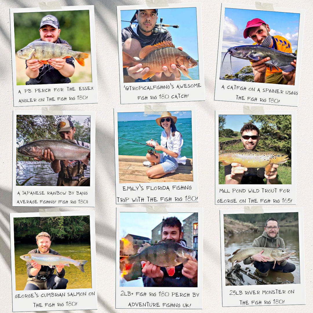 Fish Rig Max Cast-Spin Tele Rod 240 210cm Options Tips